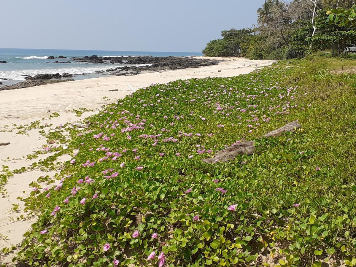 Lanta Daisy Residence Ko Lanta Dış mekan fotoğraf