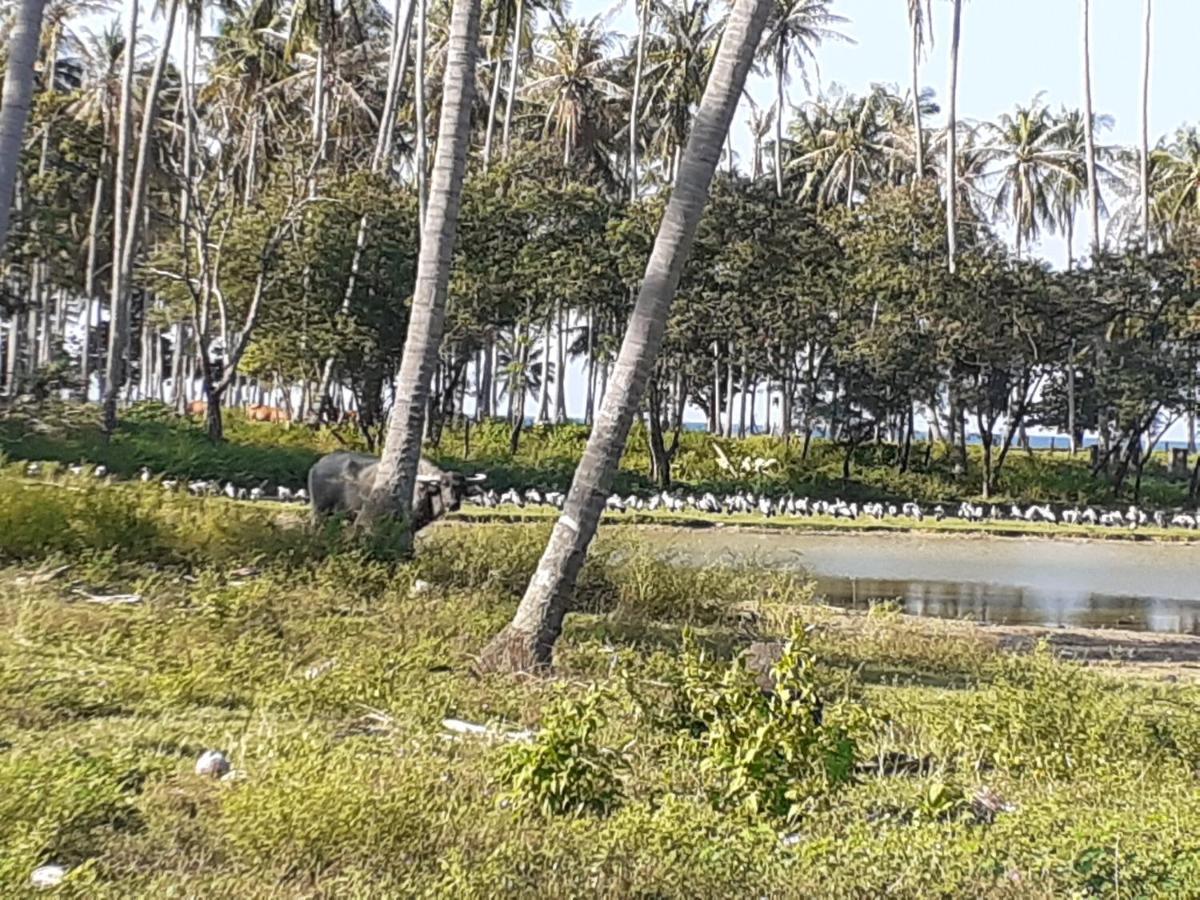 Lanta Daisy Residence Ko Lanta Dış mekan fotoğraf